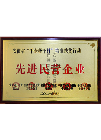 安徽省“千企幫千村”精準(zhǔn)扶貧行動(dòng)“先進(jìn)民營企業(yè)”榮譽(yù)稱號(hào)