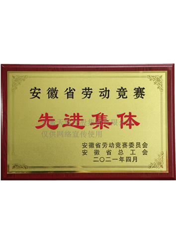 勞動(dòng)競(jìng)賽先進(jìn)集體