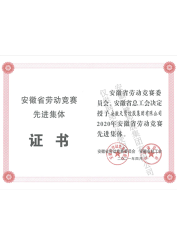 安徽省勞動(dòng)競(jìng)賽先進(jìn)集體